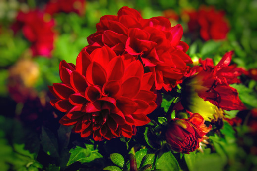 819469 (a): :2400x1600